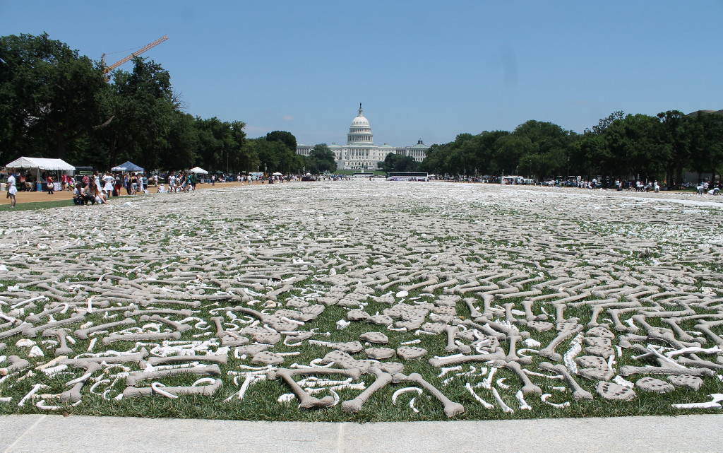 One million bones in DC. Image Source: Elvert Barnes, Flickr, Creative Commons